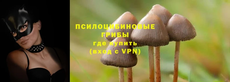 Галлюциногенные грибы Magic Shrooms  mega ссылки  Кизел 